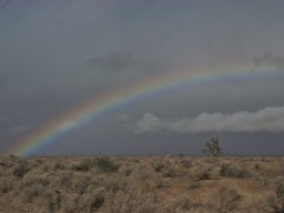 California2007-2008-006